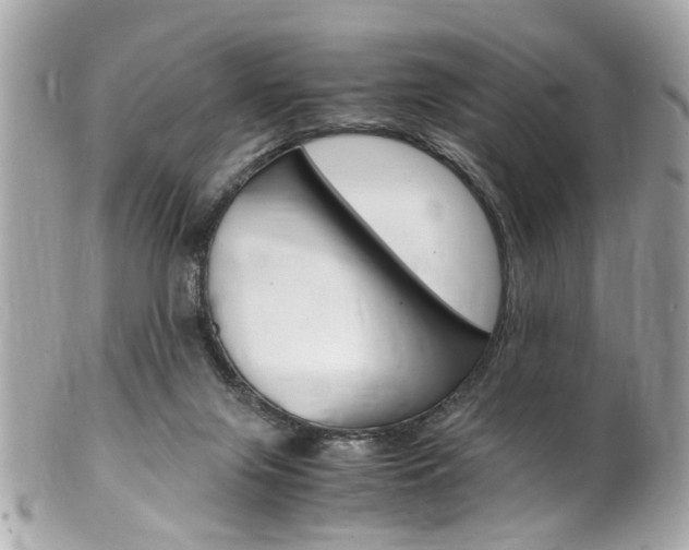 X0000102010071200807180920