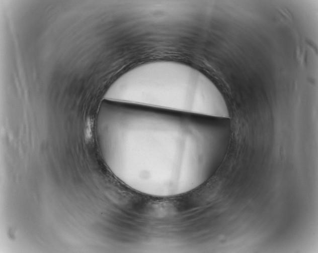 X0000102010075200807180920