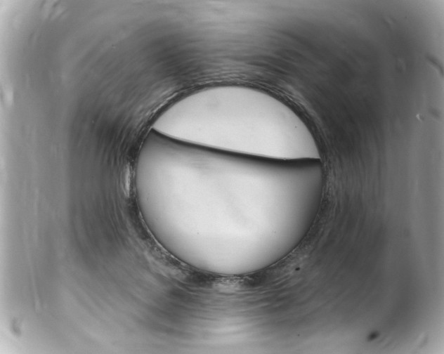 X0000102010076200807180920