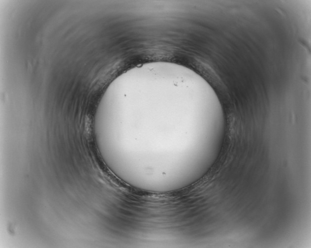X0000102010077200807180920