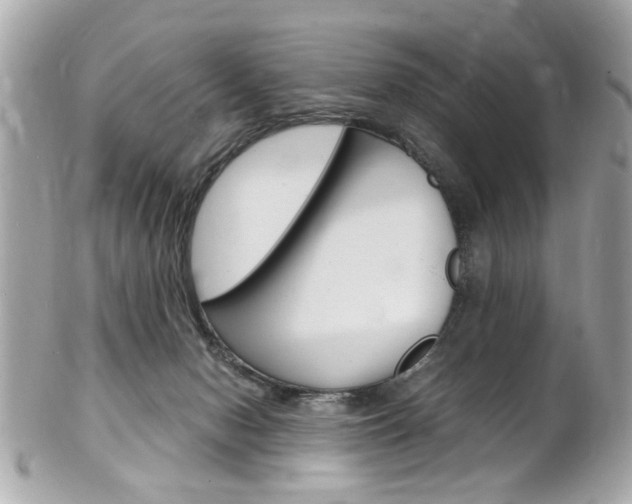 X0000102010078200807180920