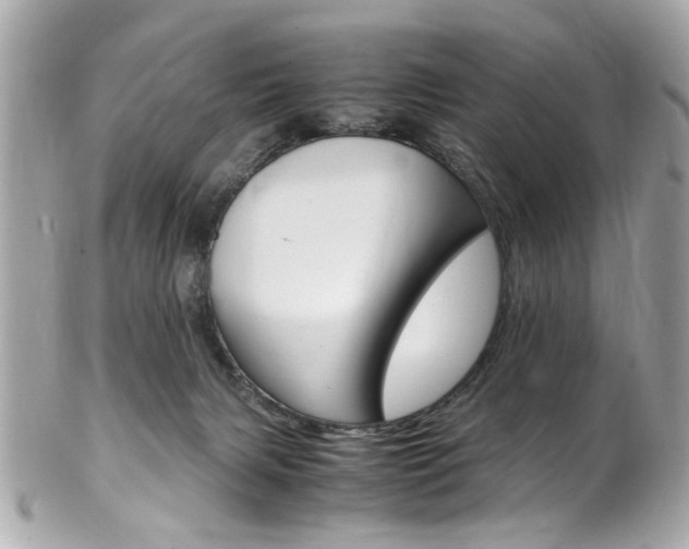 X0000102010079200807180920