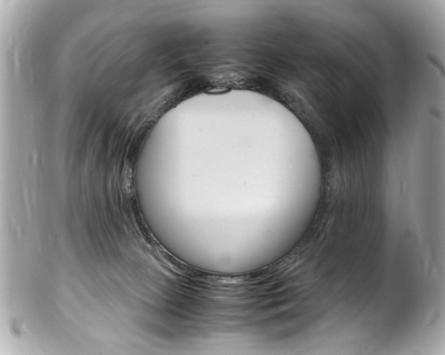 X0000102010081200807180920