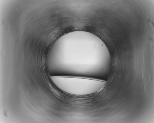 X0000102010082200807180920