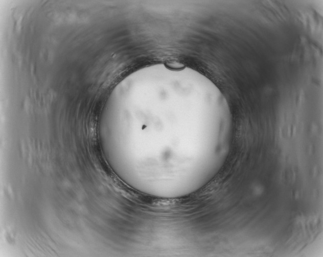 X0000102010084200807180920