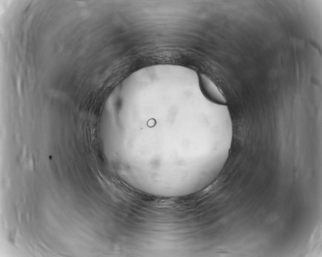 X0000102010086200807180920