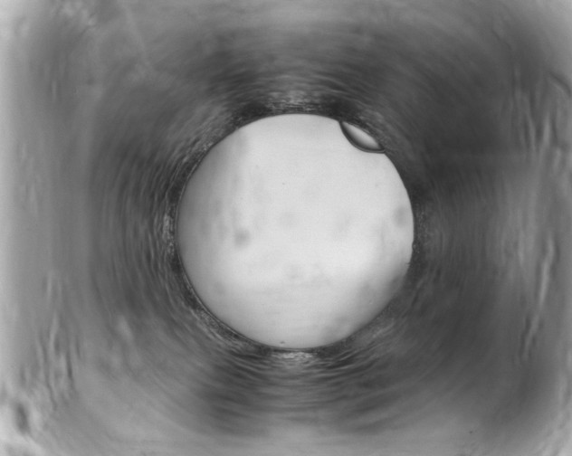 X0000102010087200807180921