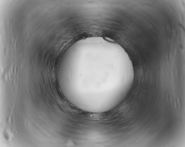 X0000102010088200807180921