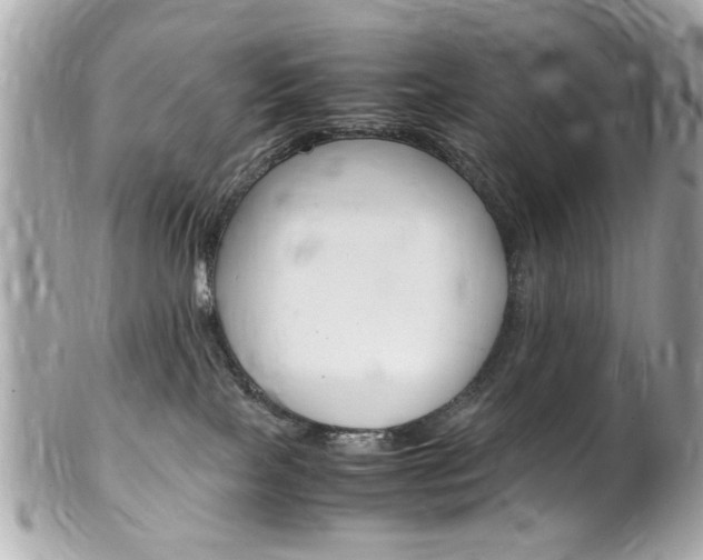 X0000102010089200807180921