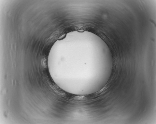 X0000102010090200807180921