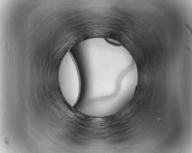 X0000102010091200807180921