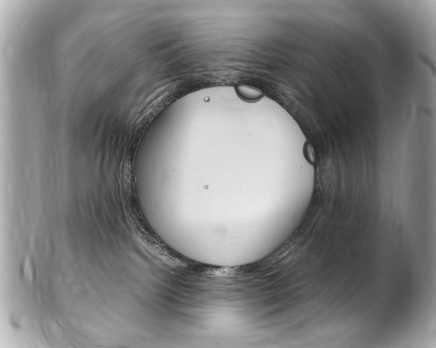 X0000102010092200807180921