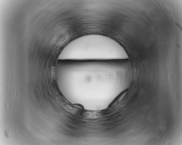 X0000102010093200807180921