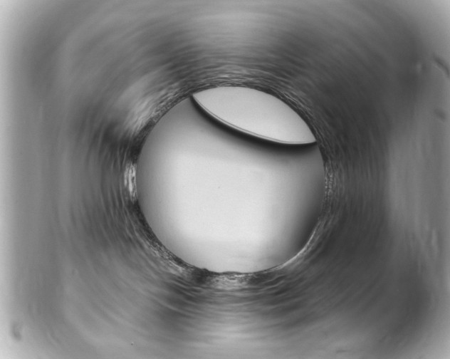 X0000102010094200807180921
