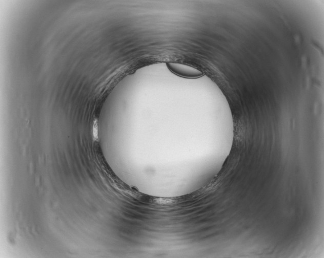 X0000102010095200807180921