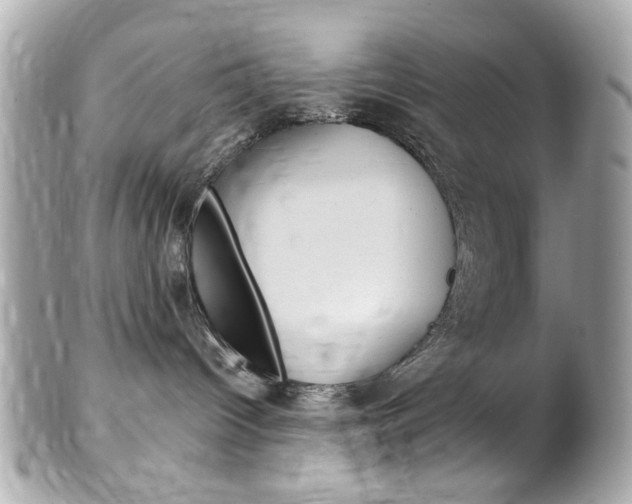 X0000102010096200807180921