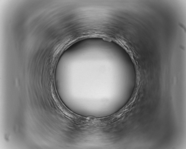 X0000102010097200807180920