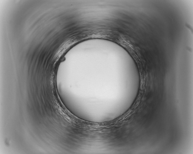 X0000102010098200807180920