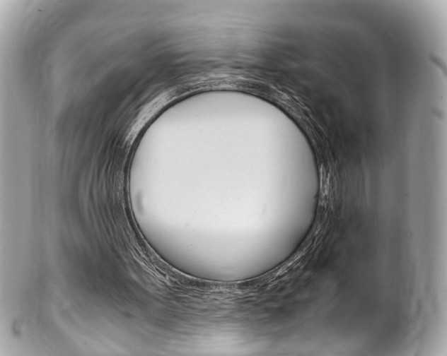 X0000102010099200807180920
