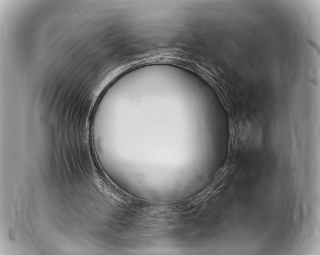 X0000102010100200807180920