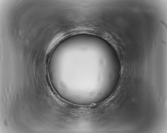 X0000102010101200807180920