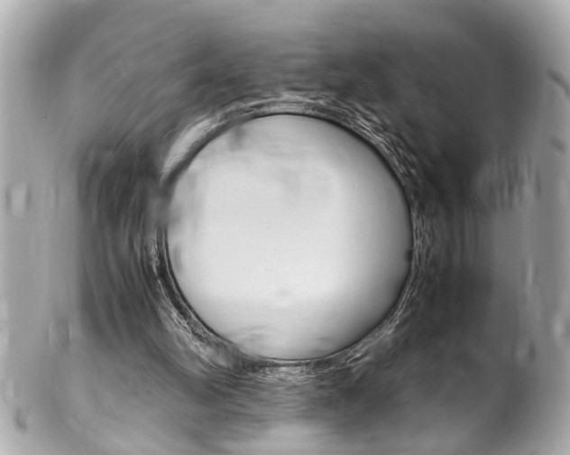 X0000102010102200807180920