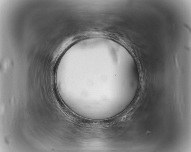 X0000102010103200807180920