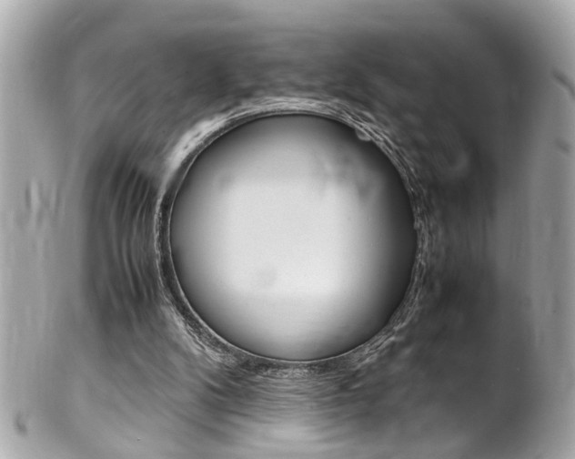 X0000102010104200807180920