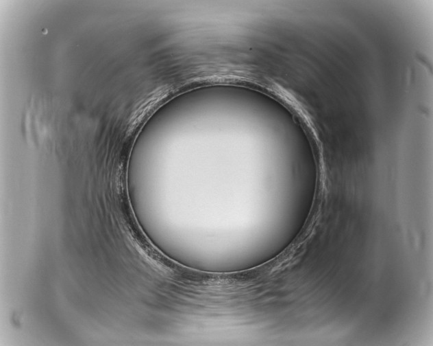 X0000102010105200807180920
