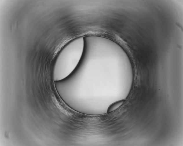 X0000102010106200807180920