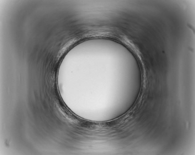 X0000102010107200807180920