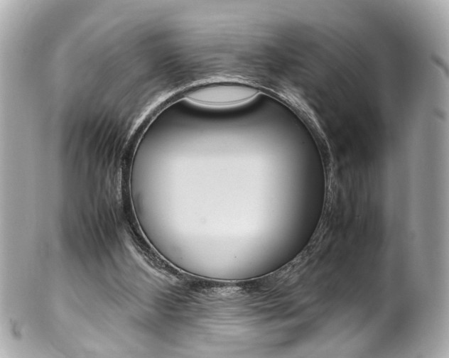X0000102010108200807180920