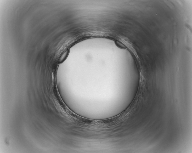 X0000102010109200807180920