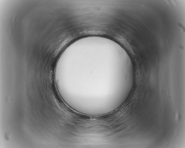 X0000102010111200807180920