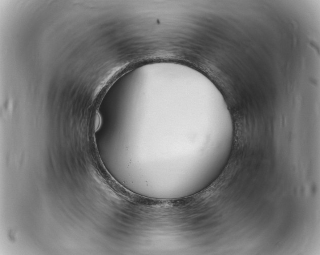 X0000102010112200807180920