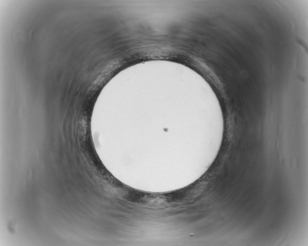 X0000102010113200807180920