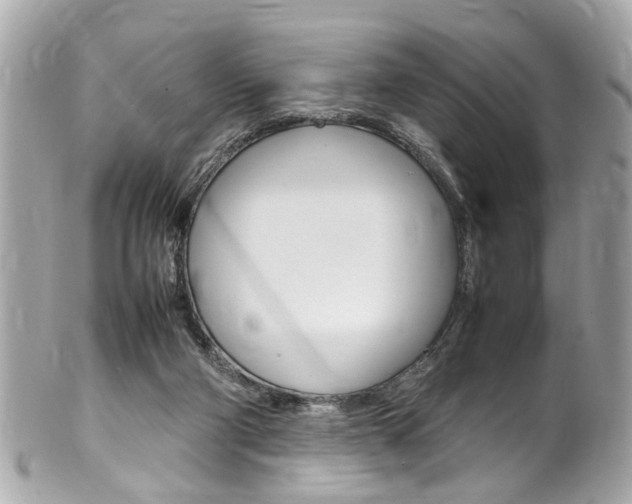 X0000102010114200807180920