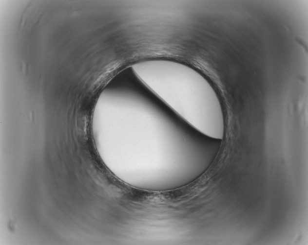 X0000102010115200807180920