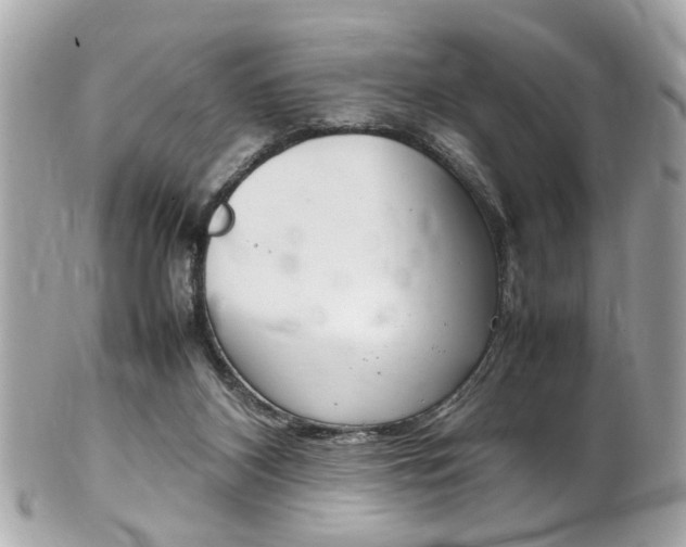 X0000102010116200807180920