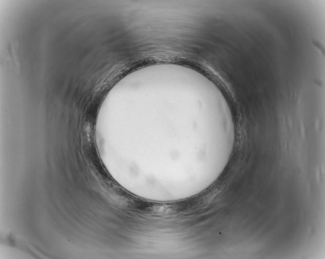 X0000102010117200807180920