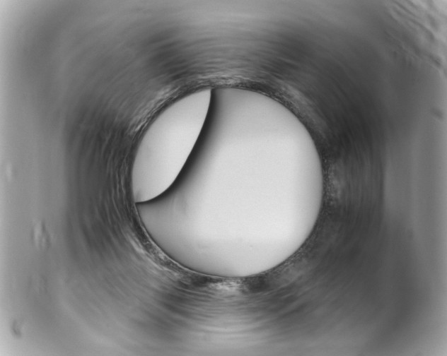 X0000102010118200807180920