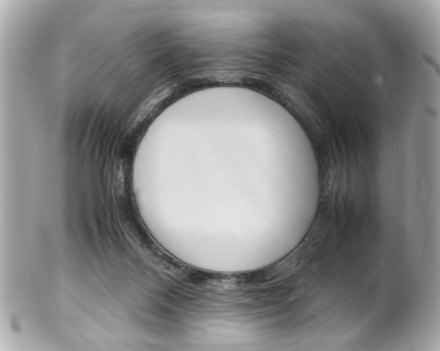 X0000102010120200807180920