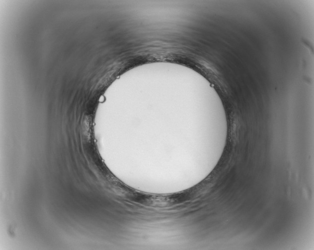 X0000102010121200807180920