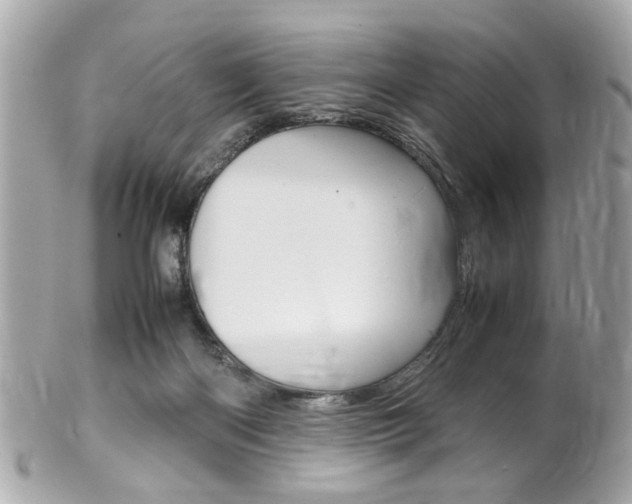 X0000102010122200807180920