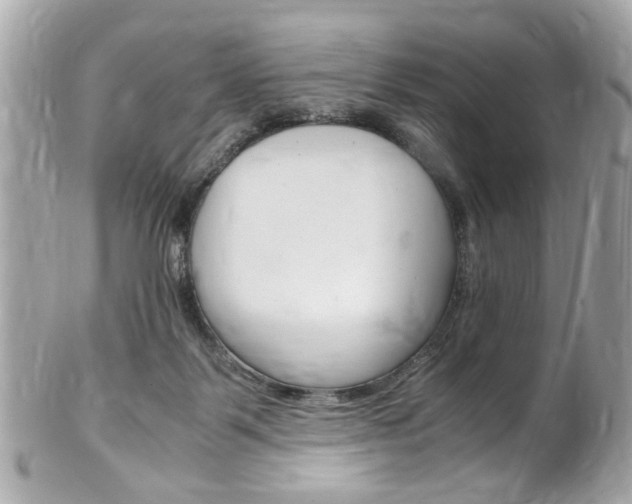 X0000102010123200807180920