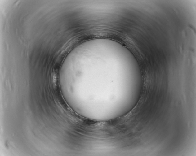 X0000102010124200807180920