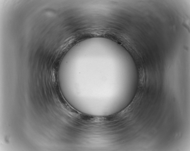 X0000102010128200807180920