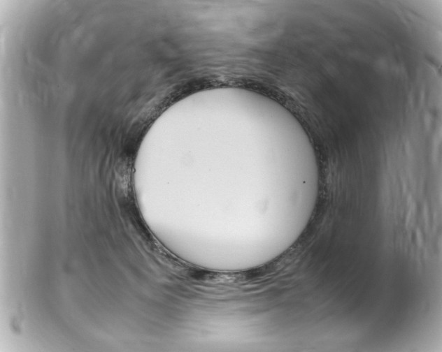 X0000102010129200807180920