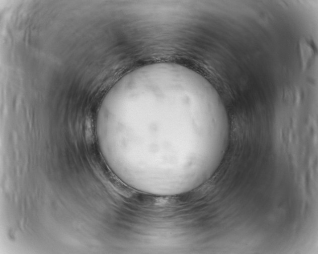 X0000102010130200807180919