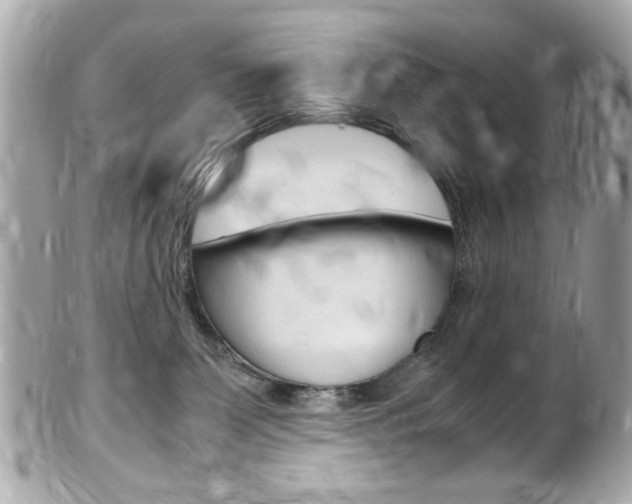 X0000102010131200807180919